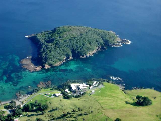 goat island marine reserve, warkworth