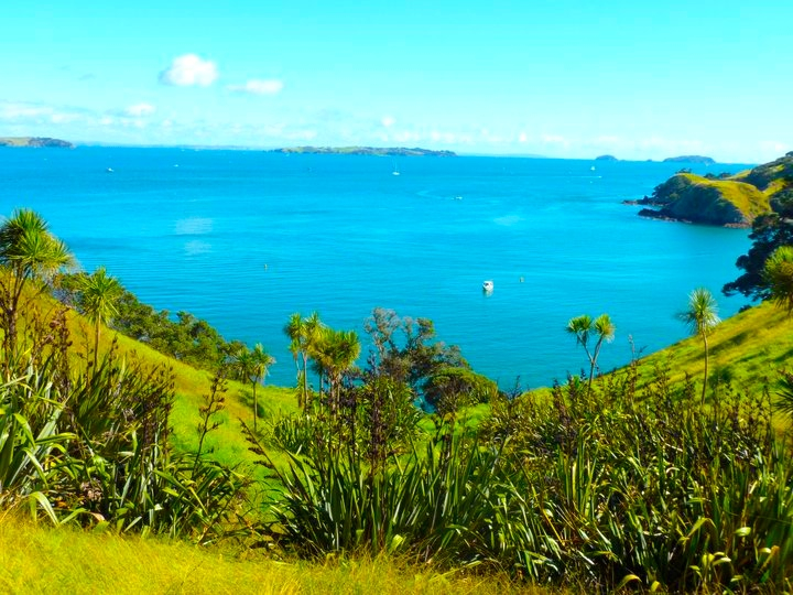 waiheke